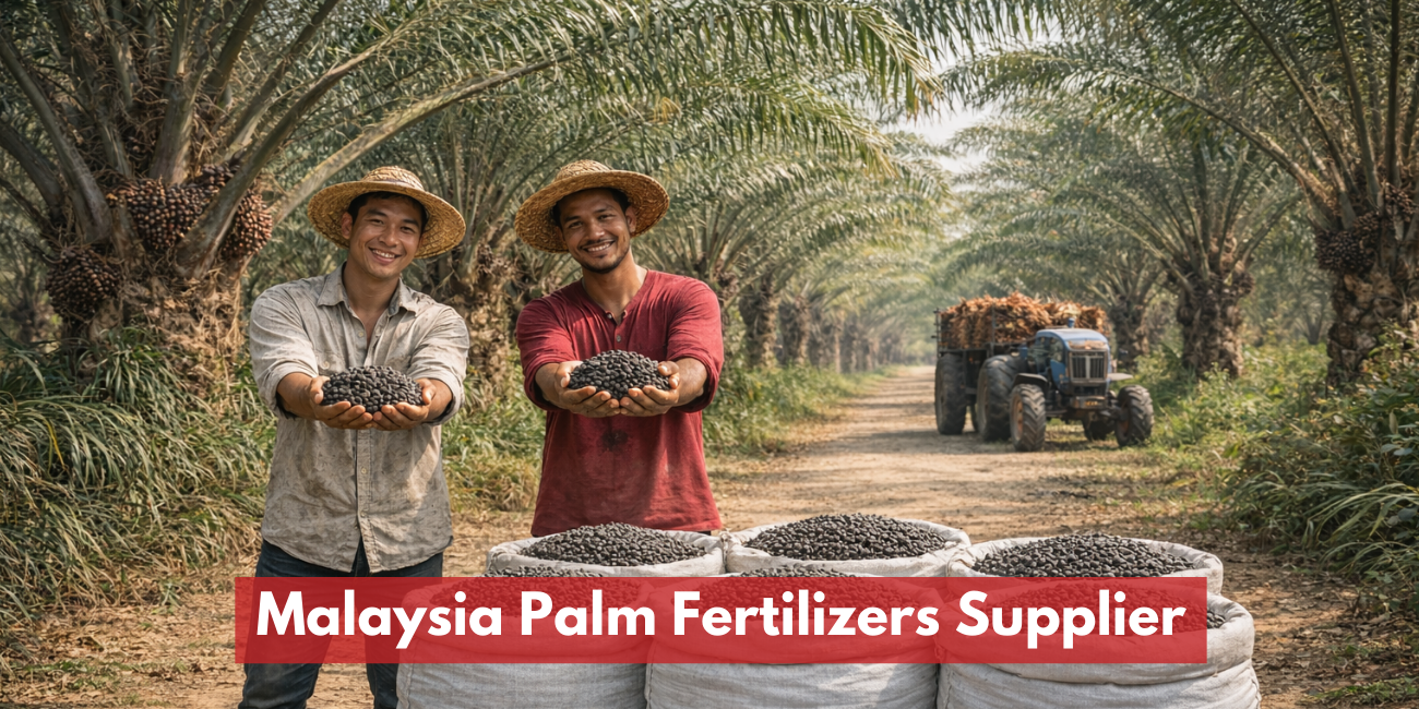 Malaysia Palm Fertilizers Supplier 