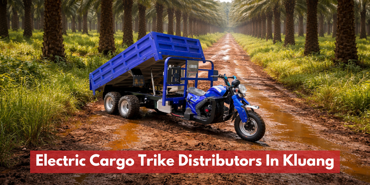 Electric Cargo Trike Distributors In Kluang