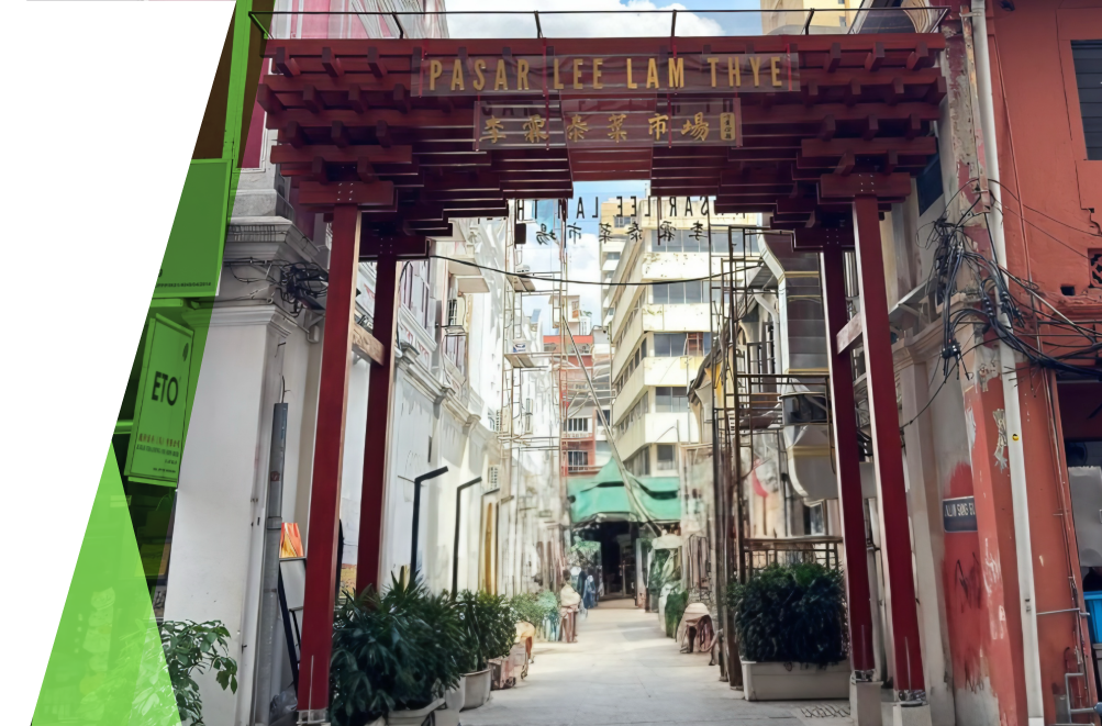 Greener Future with Sustainable Timber