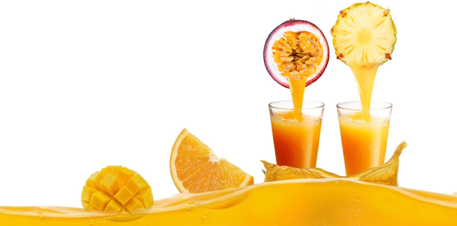 ELEVATE YOUR RECIPE WITH FUNCTIONAL FRUIT POWER.
