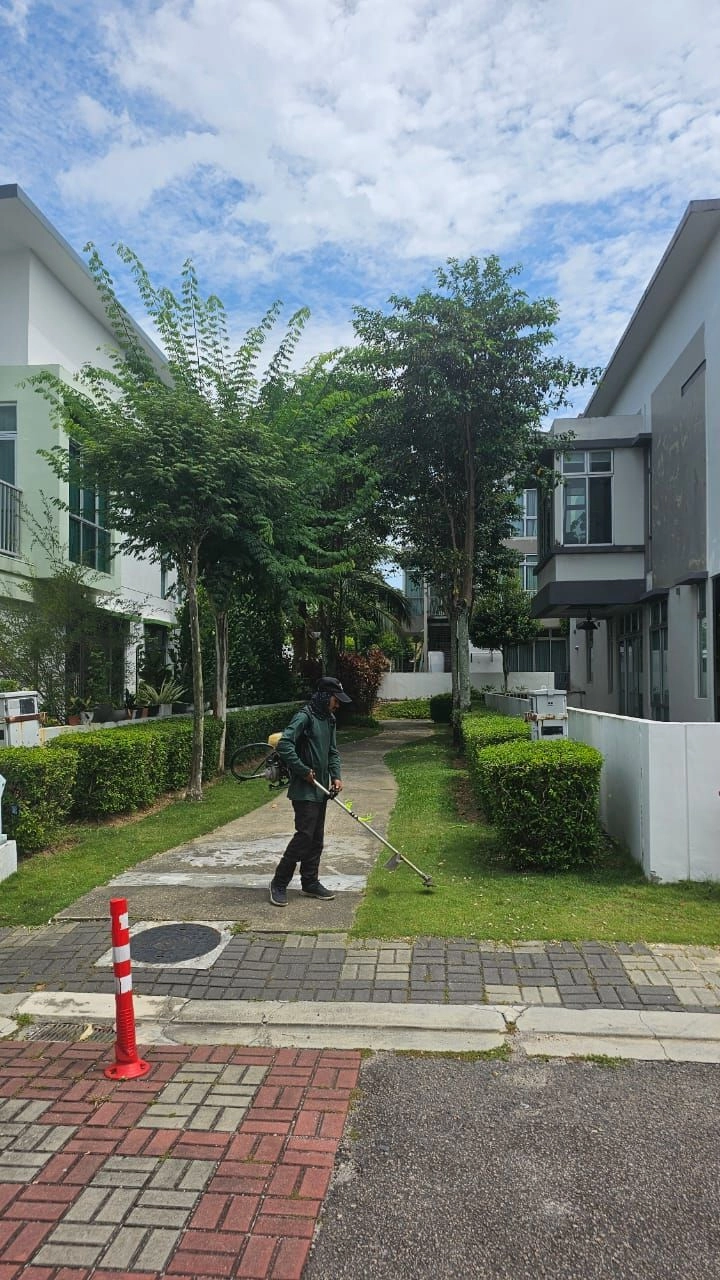 Professional landscape maintenance work by Z Star