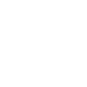 XiaoHongShu