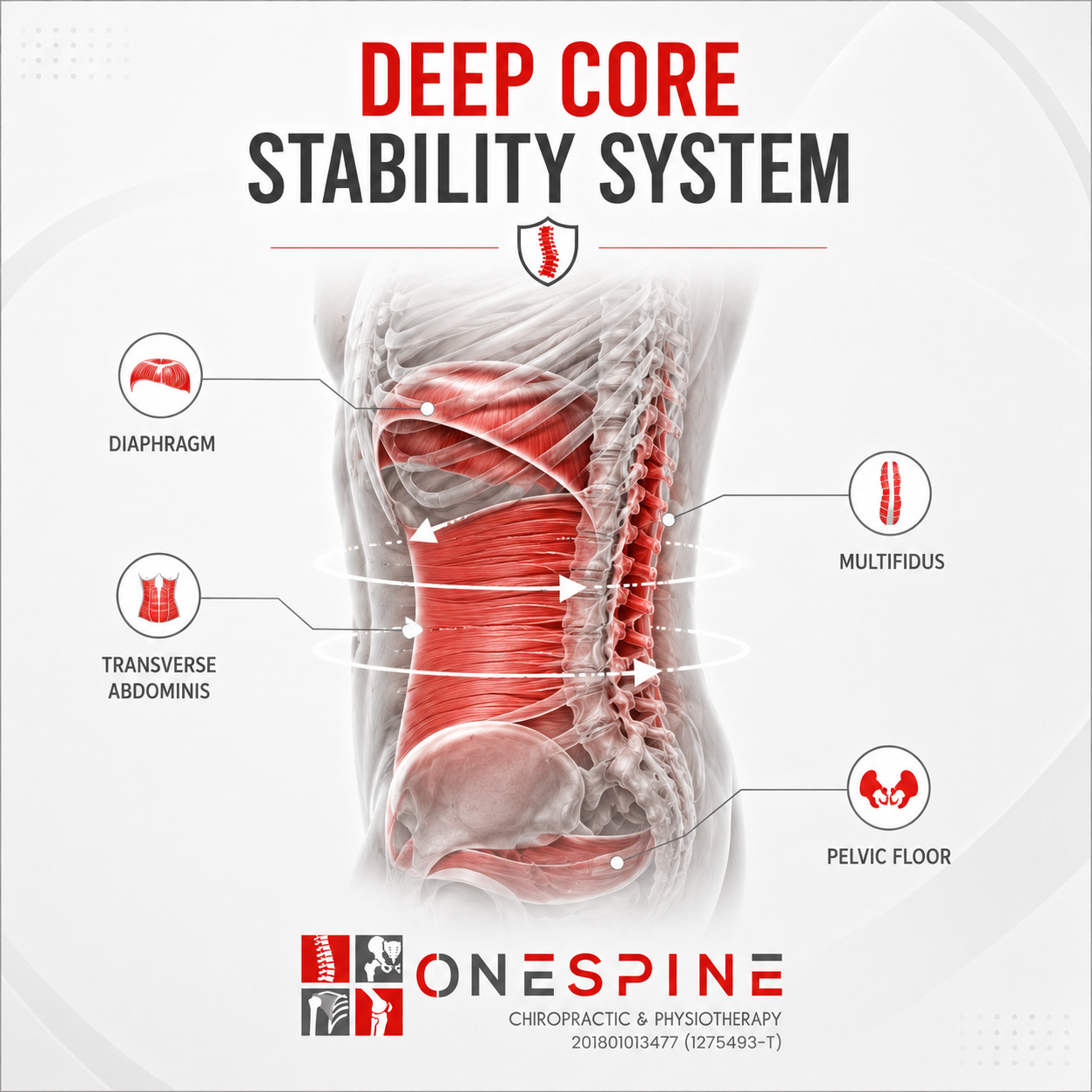 Core stability system