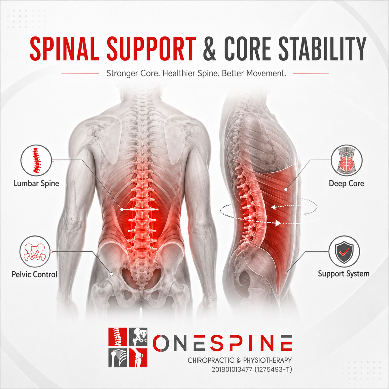 Spinal support
