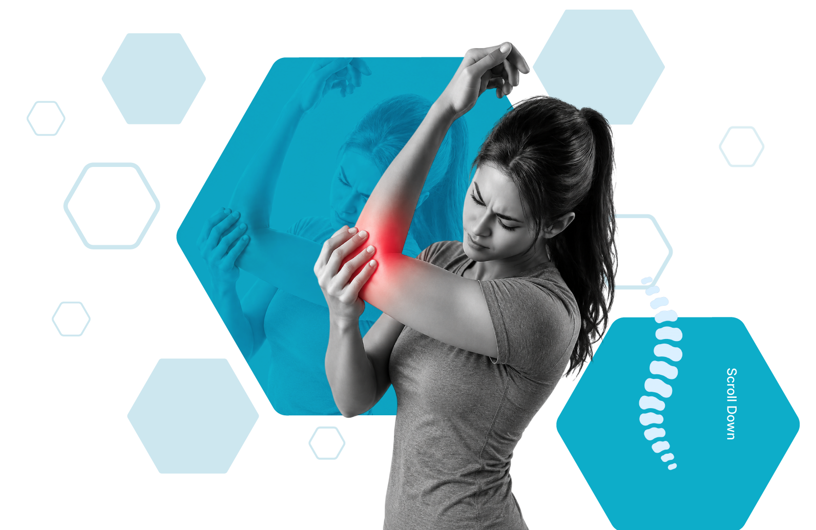 Rehab Bee Physio