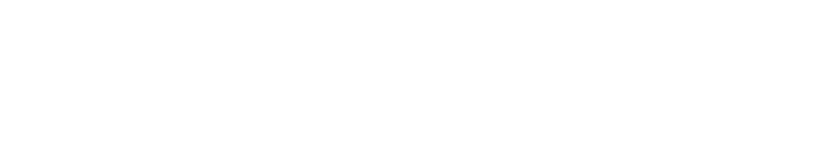 electric vehicle tires