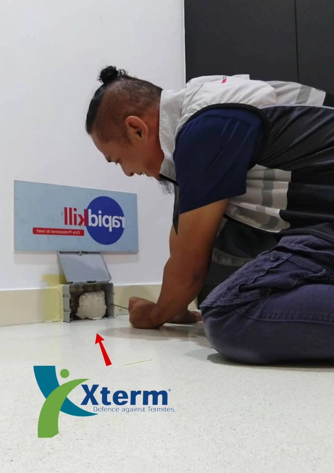 Pest Control Company Malaysia | Termite & Mosquito Control | RAPIDKILL