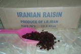 Sultana