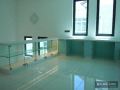 Tempered Glass Display C