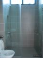 Shower Screen Swing Door