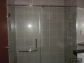 Shower Screen Swing Door