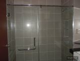 Shower Screen Swing Door(Tempered Glass)