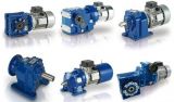 Motovario Gear Motor, Helical Gear Reducer / Bevel Gear Reducer / Worm Gear Reducer