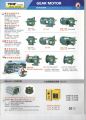 TPG Gear Motor