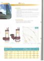 Sonho BU-Series High Head Water Pump