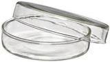 Glass Petri Dish