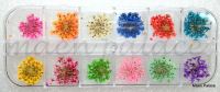 Dry Flower Set (12 colours/set - each colour 3pcs)