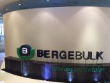 Bergebulk