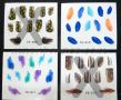  Acrylic Brush #10 񻨹P #10