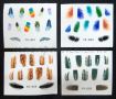 Colour Plate ɫ