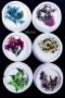 GLITTER POWDER