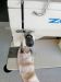 Second Hand Zoje Industrial Low Speed Sewing machine 