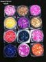 SHELL POWDER 1 SET 12 COLOUR