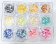 Nail Art Shell Set (12colors) ױװ 12ɫ