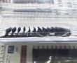 HUIYANA EYELASH   Ҷ۽ë 0.05 D