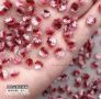 Nail Art Accessories