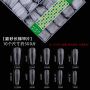 EXTRA THIN LONG ( T )SHAPE NAIL TIPS ( matte ) L T μƬ (ĥɰ)