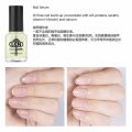 LCN NAIL SERUM ָ׾Һ