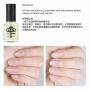 LCN NAIL SERUM ָ׾Һ