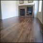 American Walnut