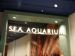 S.E.A. 海洋馆 Aquarium