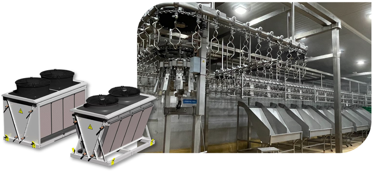 YOUR COLD ROOM FACILITY NEED