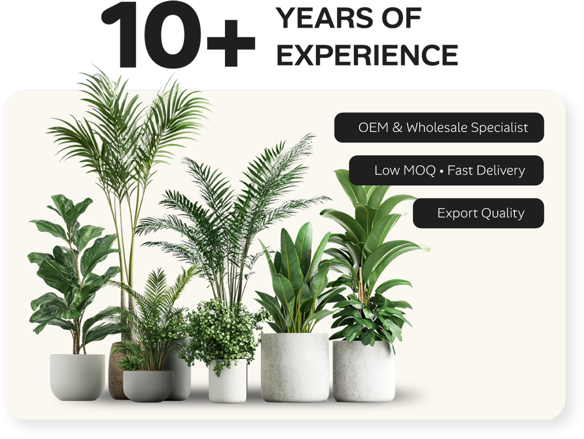 Trusted Manufacturer for Fiberglass Pots, Artificial Grass & Garden Supplies