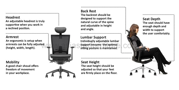 How to Choose the Right Office Chair