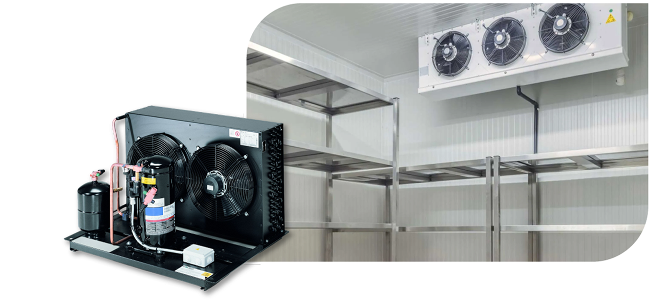 YOUR COLD ROOM FACILITY NEED