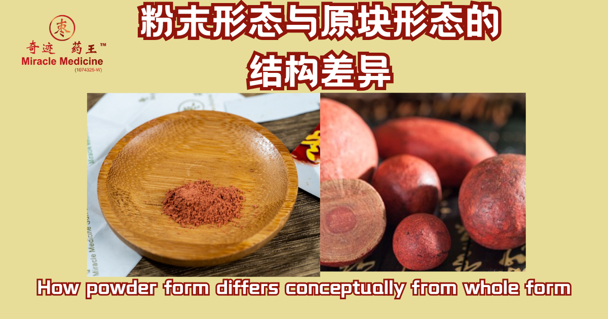 豪猪枣粉末形态对比