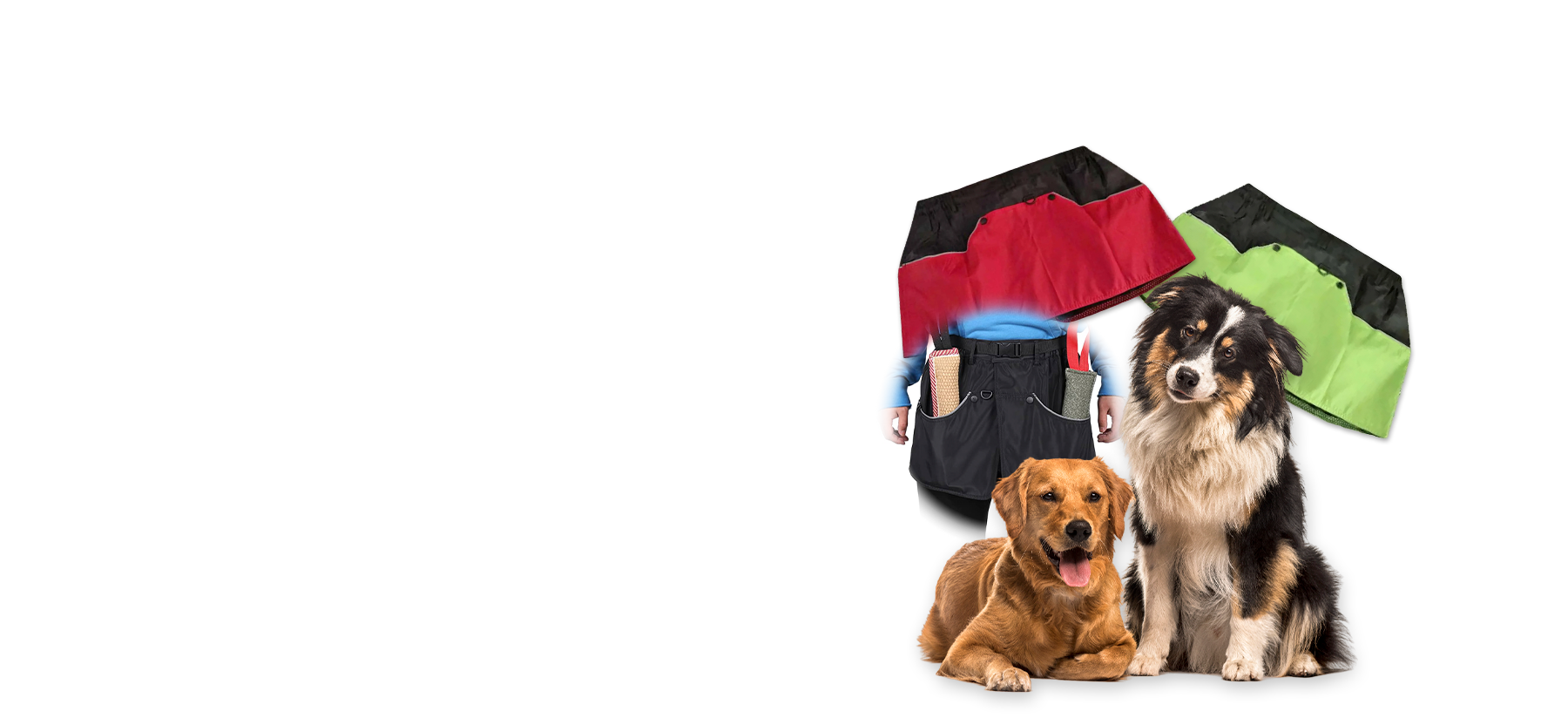 Pet Equipment Supplier KL, Dog GPS Tracker Selangor, Dog Leashes Supply