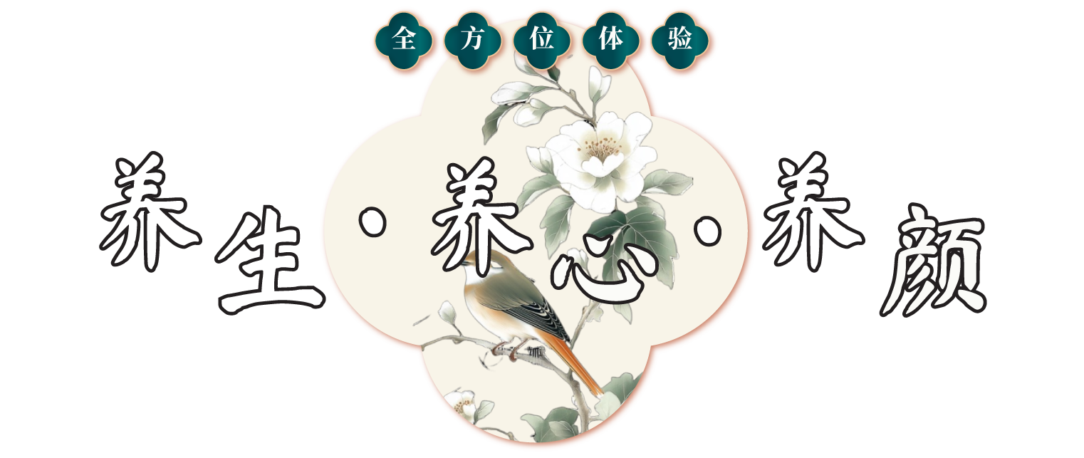养生养心养颜