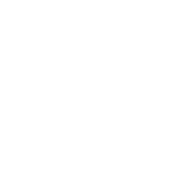 Tick Icon