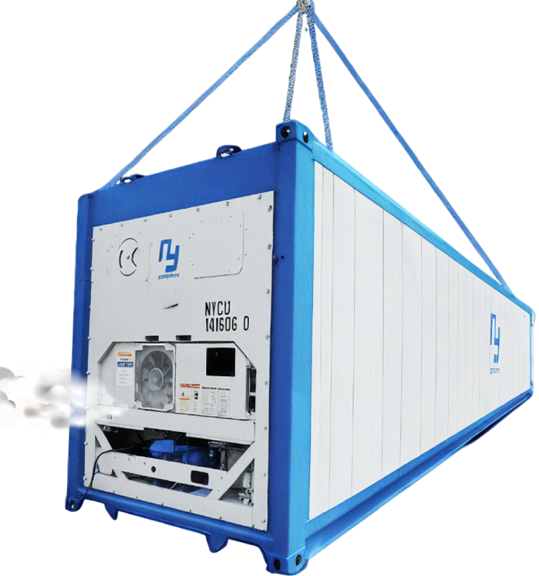 ALL CONTAINER NEEDS ALL CONTAINER NEEDS