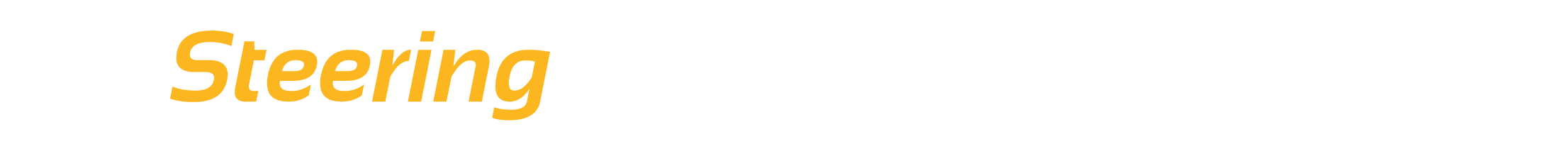 Expert in Steering Modifications Expert in Steering Modifications