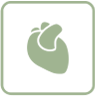 Strengthens Cardiovascular System