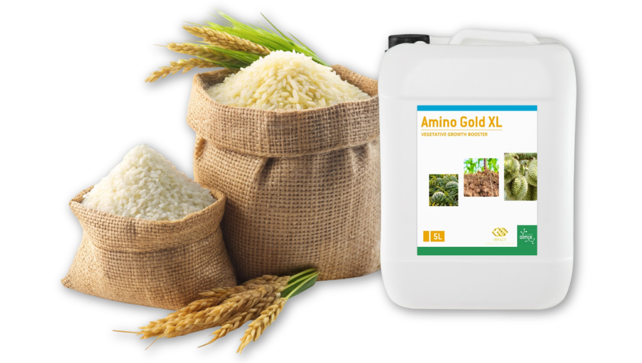 RICE AGRISOLUTION