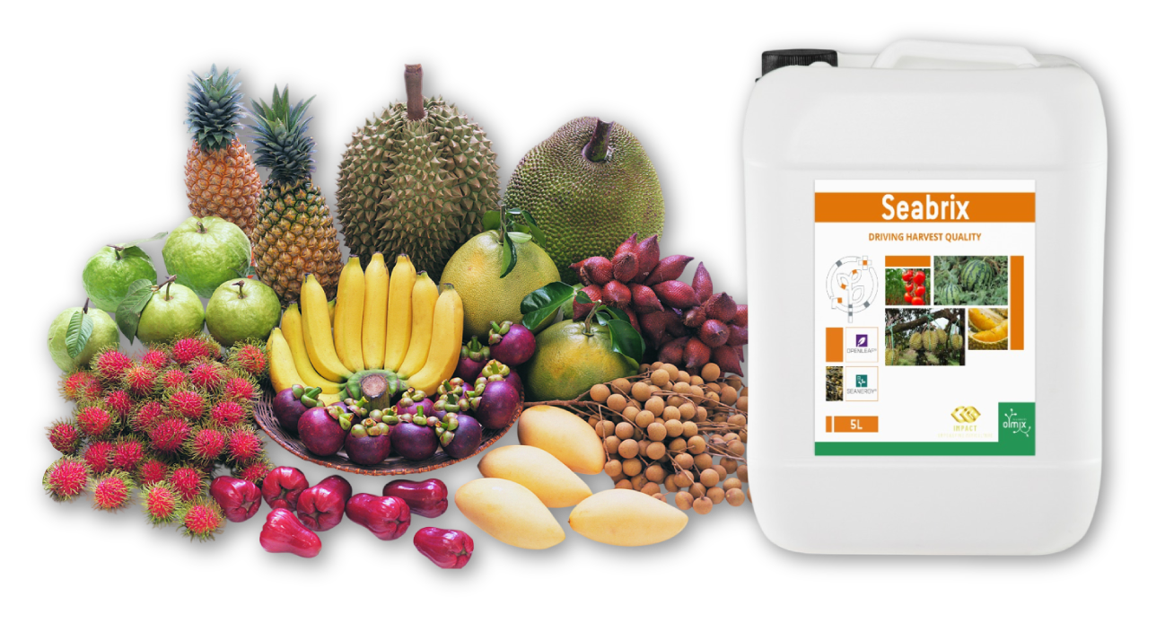 FRUIT AGRISOLUTIONS