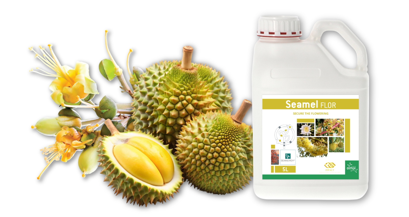 DURIAN AGRISOLUTIONS