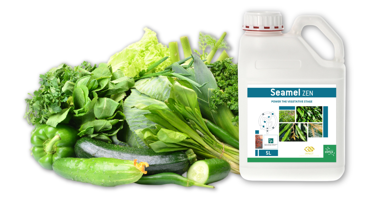 VEGETABLES AGRISOLUTIONS